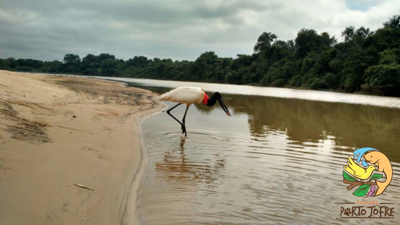 Pousada Porto Jofre Pantanal Norte Otel Dış mekan fotoğraf